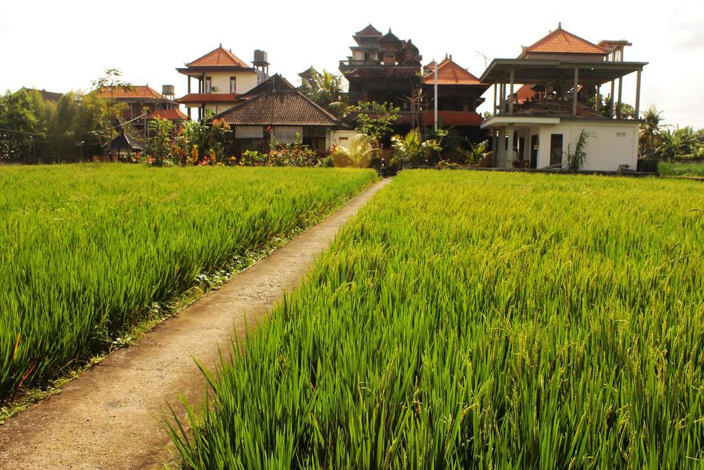 Cenik House Ubud エクステリア 写真