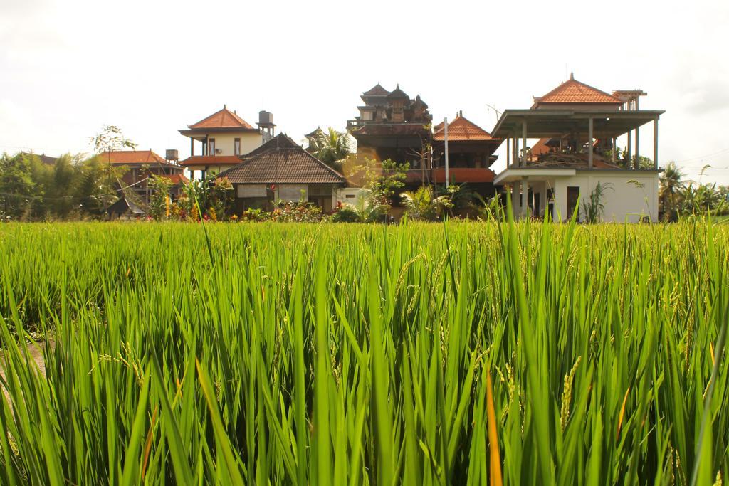 Cenik House Ubud エクステリア 写真
