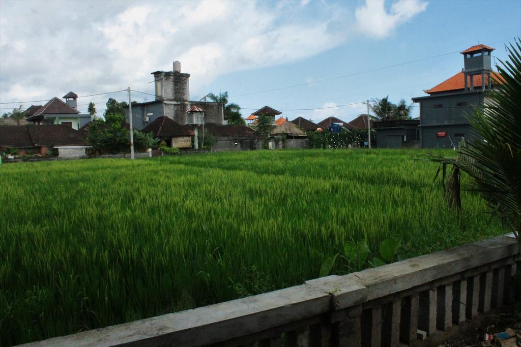 Cenik House Ubud エクステリア 写真